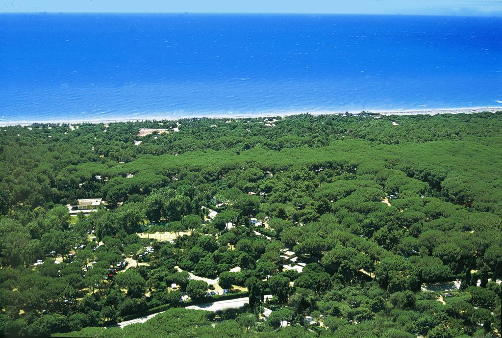 Le Esperidi Camping Ecoresort Marina Di Bibbona Buitenkant foto
