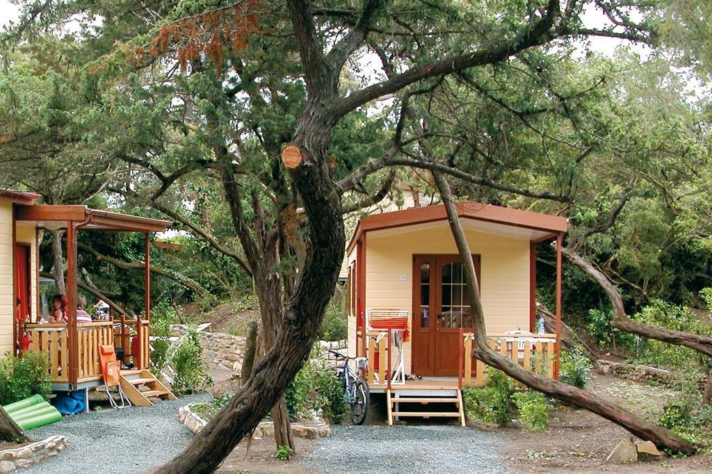 Le Esperidi Camping Ecoresort Marina Di Bibbona Kamer foto