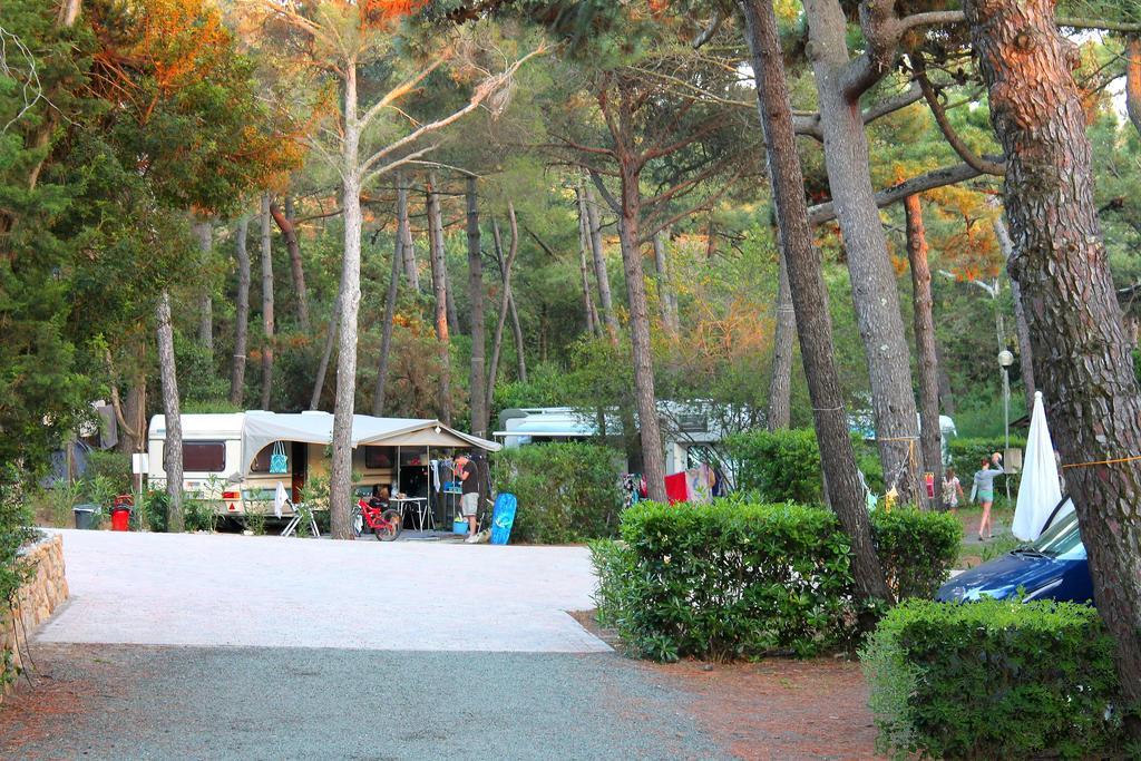 Le Esperidi Camping Ecoresort Marina Di Bibbona Buitenkant foto