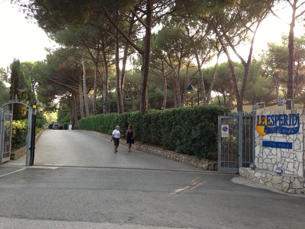 Le Esperidi Camping Ecoresort Marina Di Bibbona Buitenkant foto