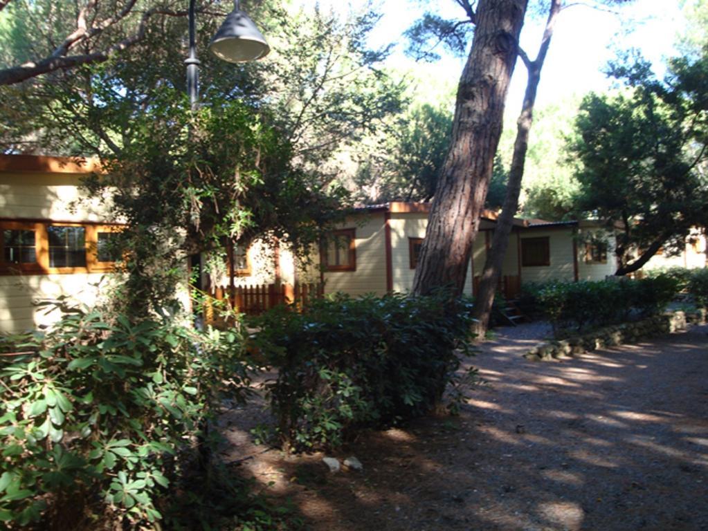 Le Esperidi Camping Ecoresort Marina Di Bibbona Buitenkant foto