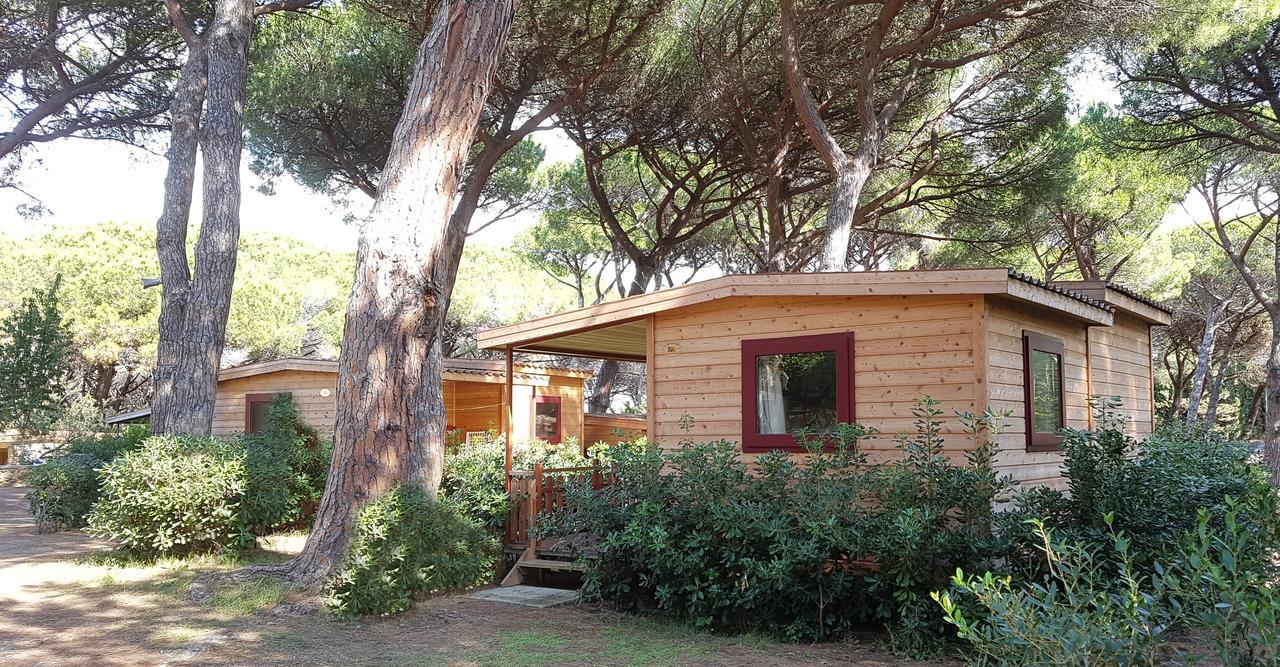 Le Esperidi Camping Ecoresort Marina Di Bibbona Buitenkant foto